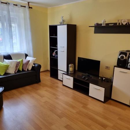 Apartment Sanja Пазин Экстерьер фото