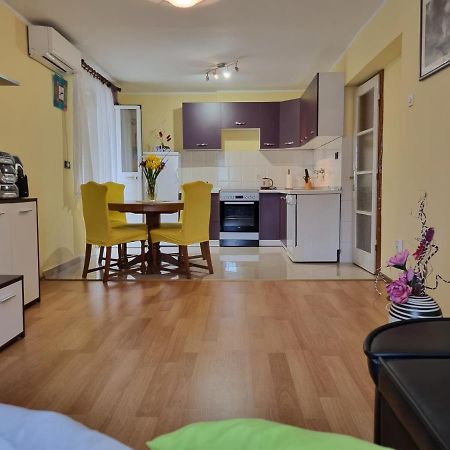 Apartment Sanja Пазин Экстерьер фото