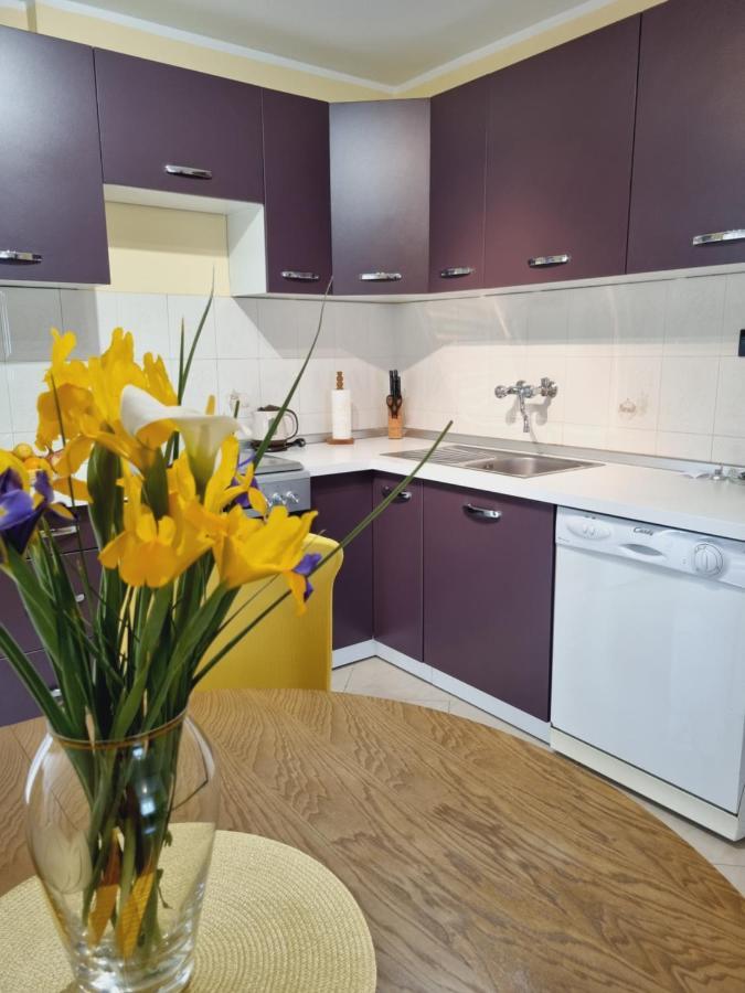 Apartment Sanja Пазин Экстерьер фото